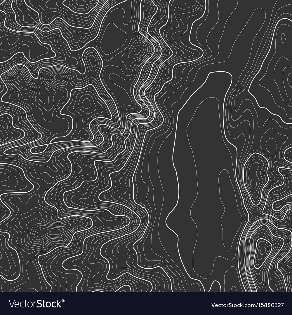 Topographic map background with space for copy Vector Image