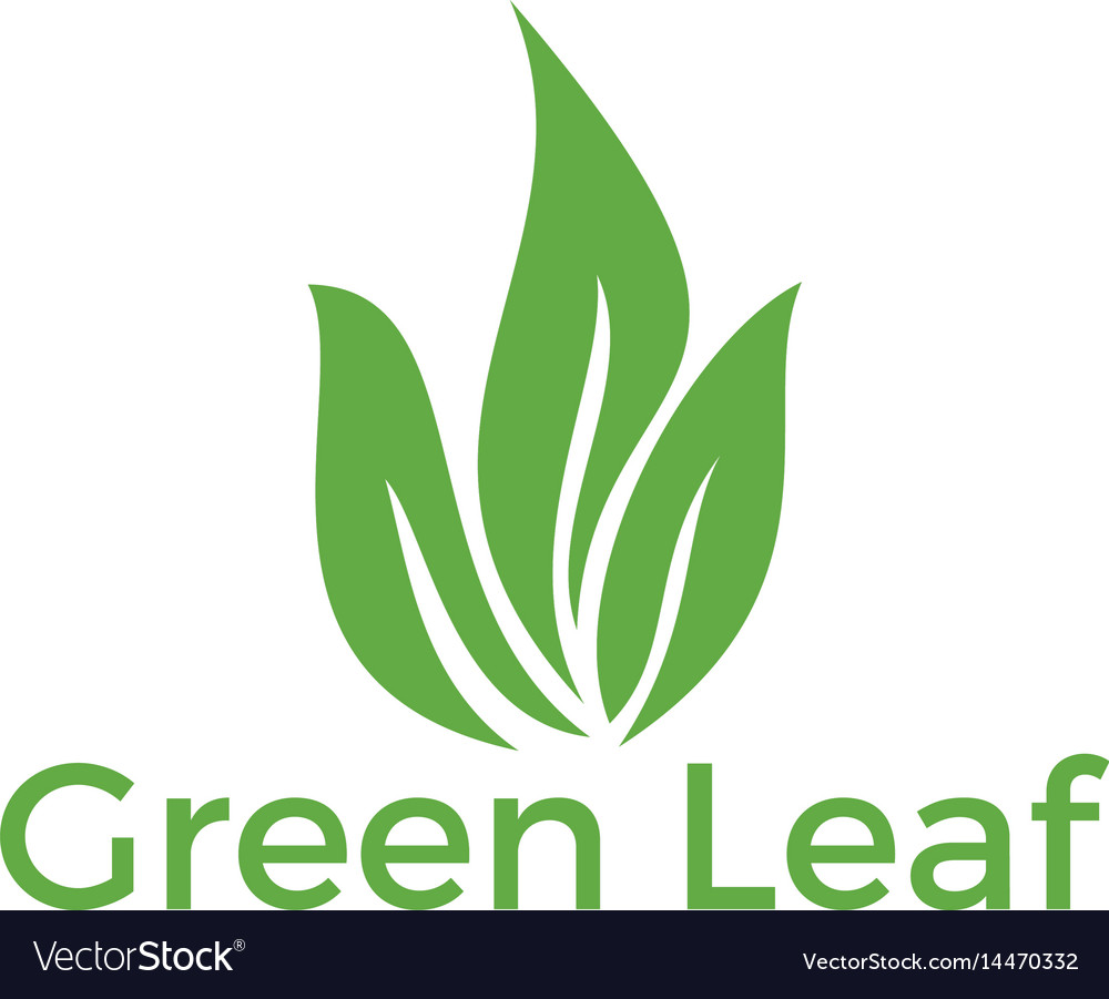 Green leaf logo design