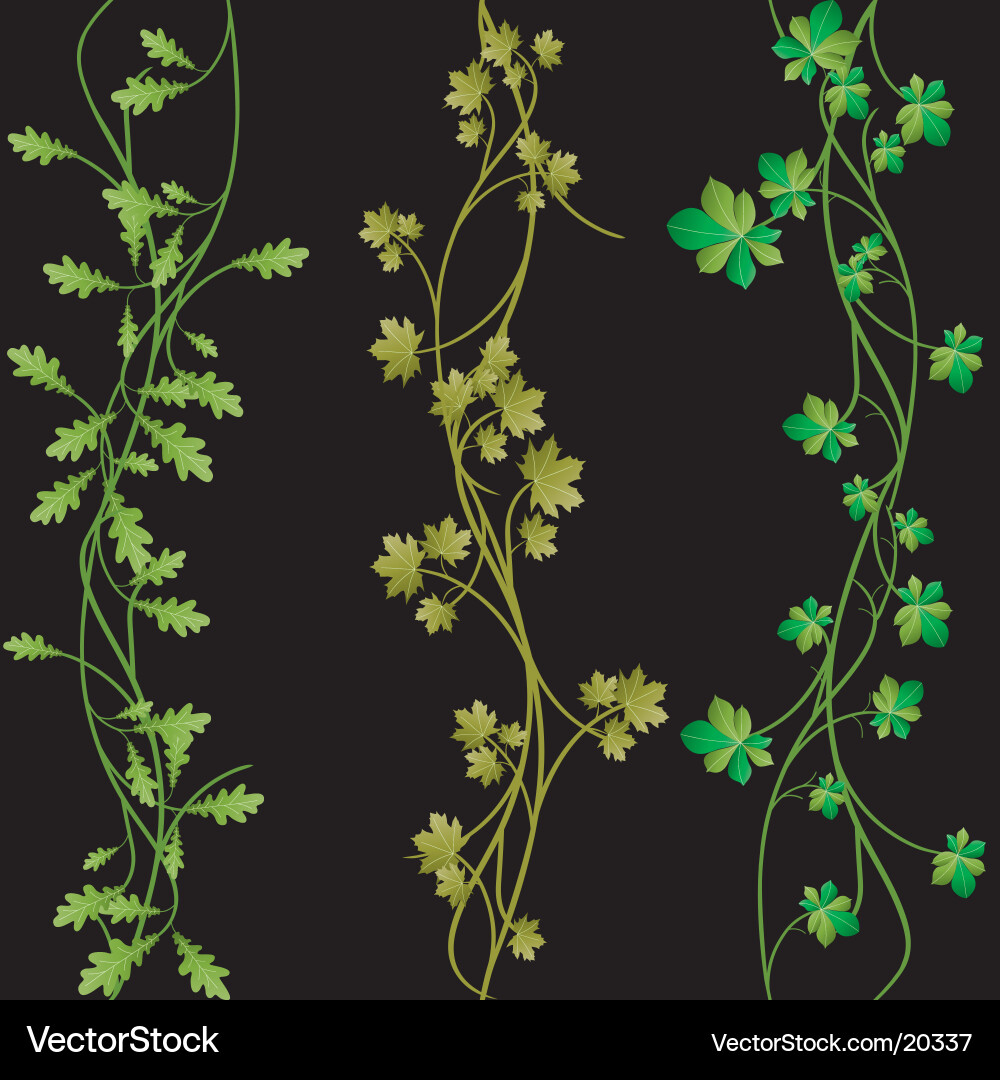 Seamless plants Royalty Free Vector Image - VectorStock