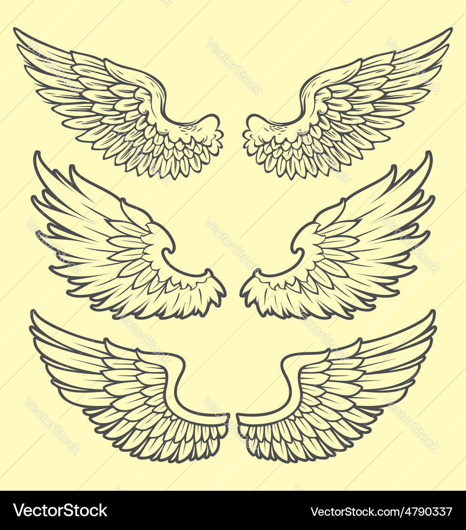 Wings hand drawn Royalty Free Vector Image - VectorStock