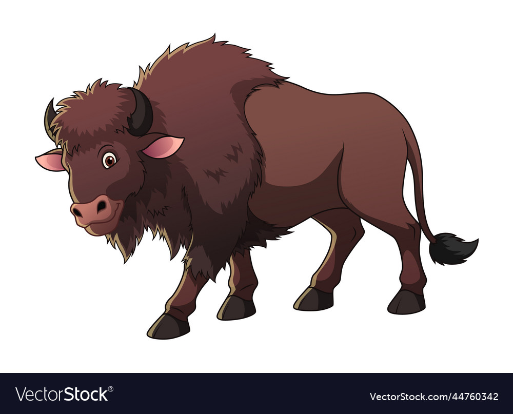 Bison cartoon animal Royalty Free Vector Image