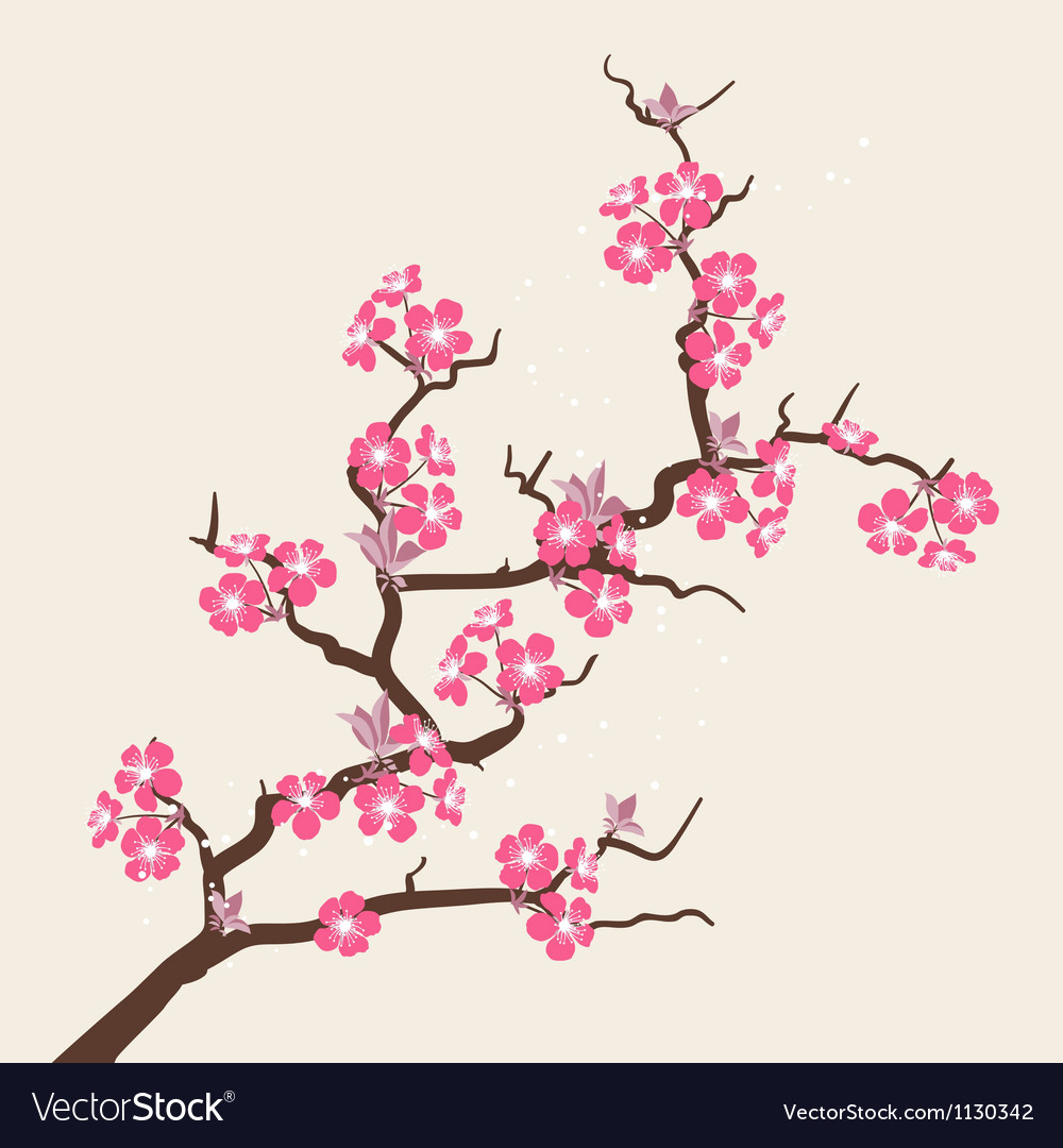 cherry blossom flower