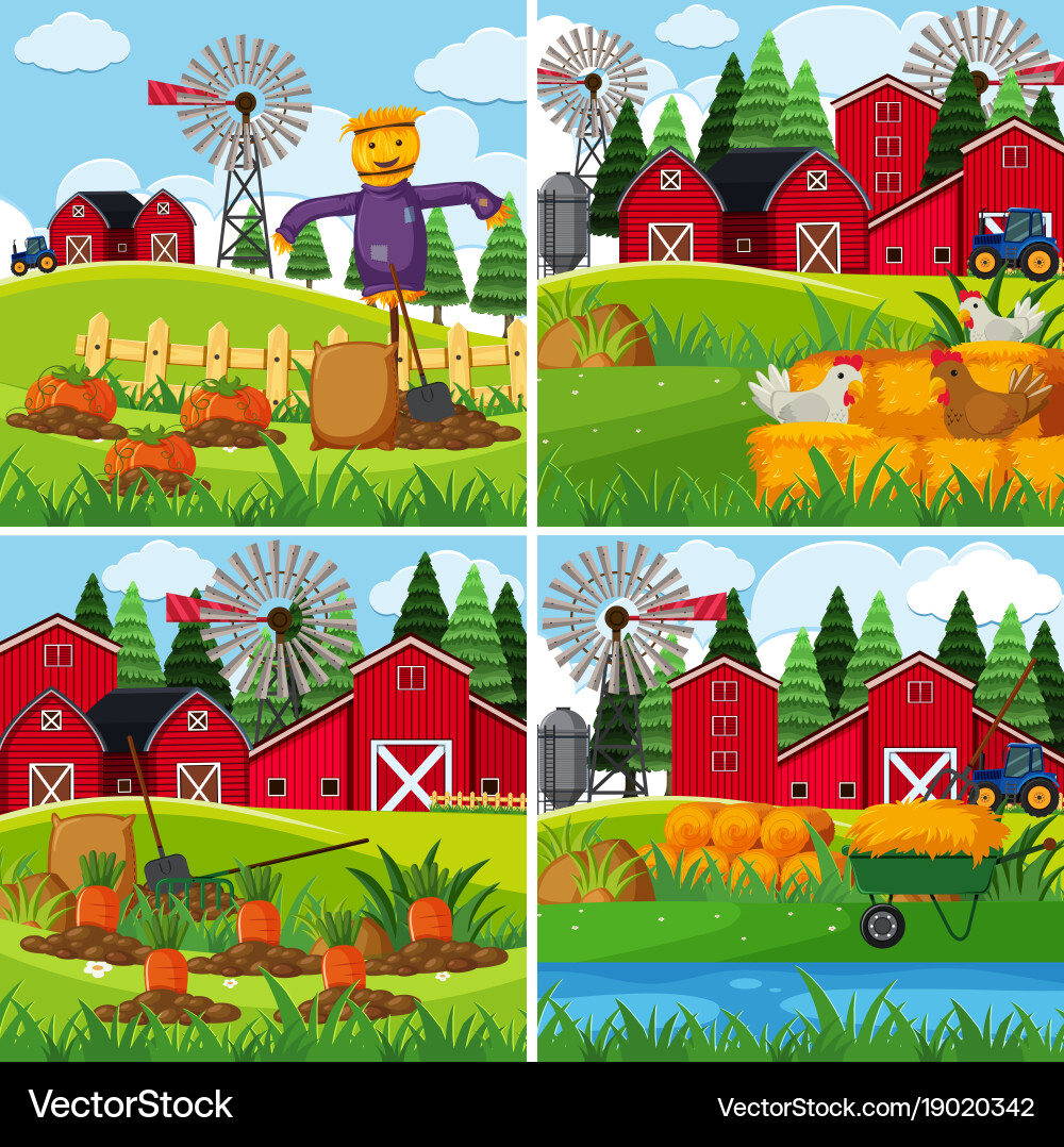 Fresh vegetables in the farms Royalty Free Vector Image