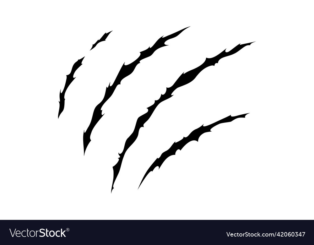 Claw scratches of wild animal cat scratches marks Vector Image