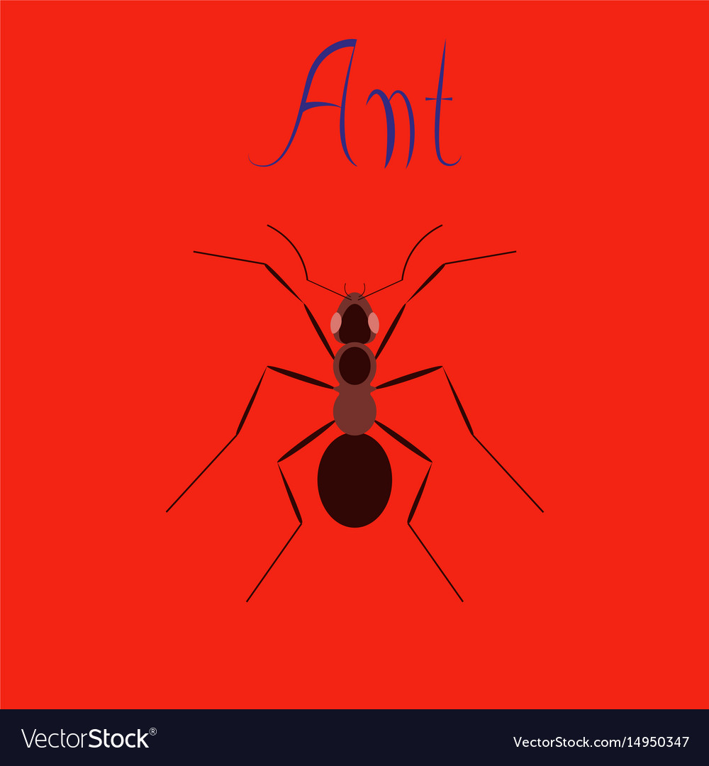 Flat icon on background ant Royalty Free Vector Image