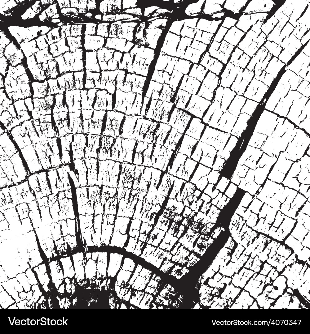 Stump texture Royalty Free Vector Image - VectorStock
