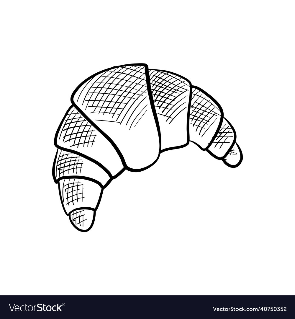 Drawing sketch of croissant Royalty Free Vector Image