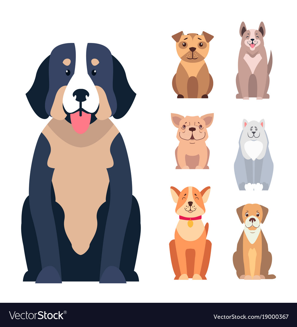 Cute purebred dogs cartoon flat icons set Vector Image