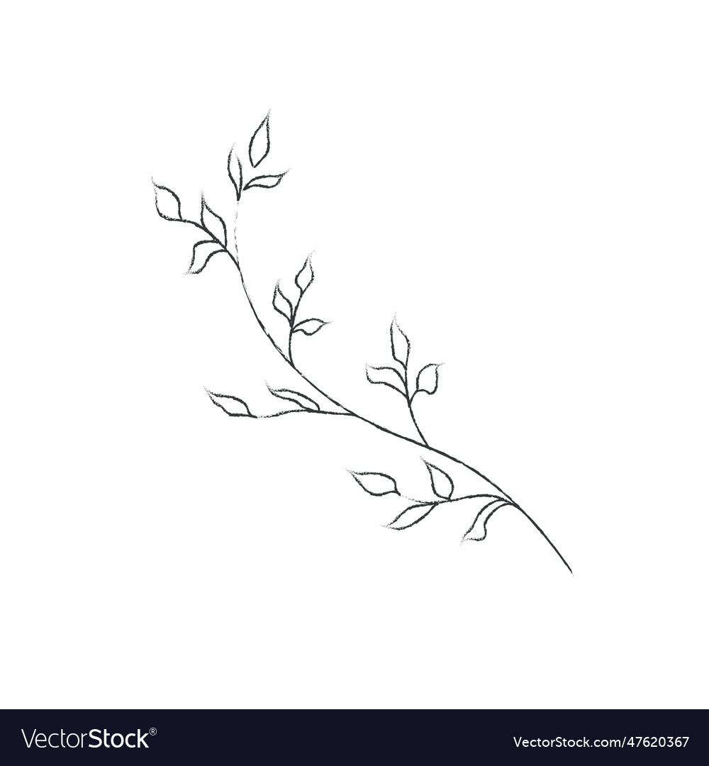 Hand Drawn Orchid Flower Arrangement Floral Vector Image