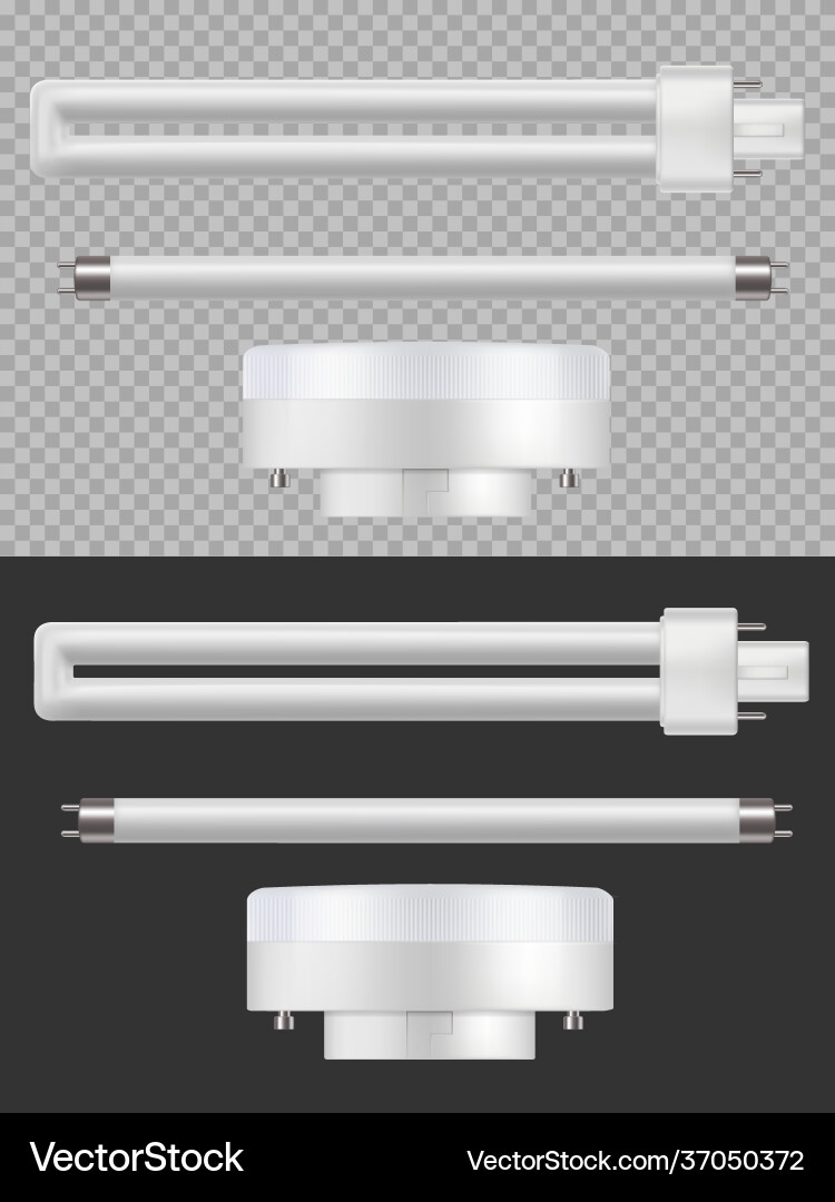 Fluorescent lamps 3d luminescence illumination Vector Image