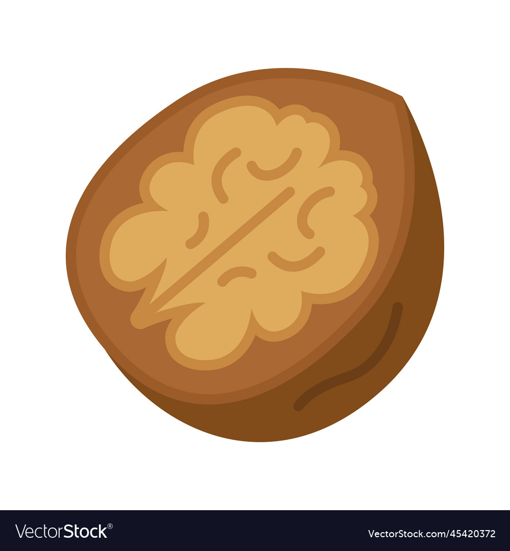 Walnut nut icon walnuts in nutshell Royalty Free Vector