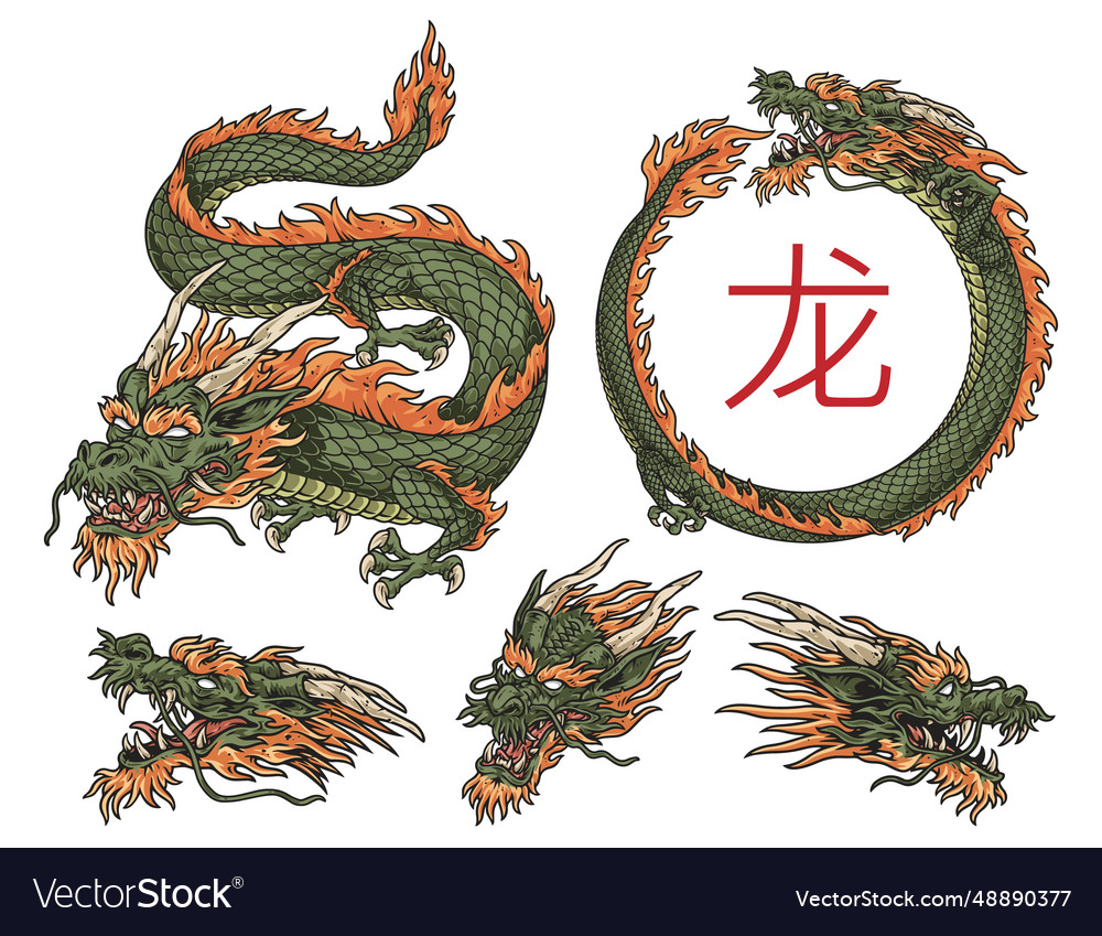 Chinese dragon set emblems colorful Royalty Free Vector