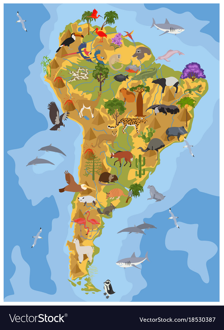 South america flora and fauna map flat elements Vector Image