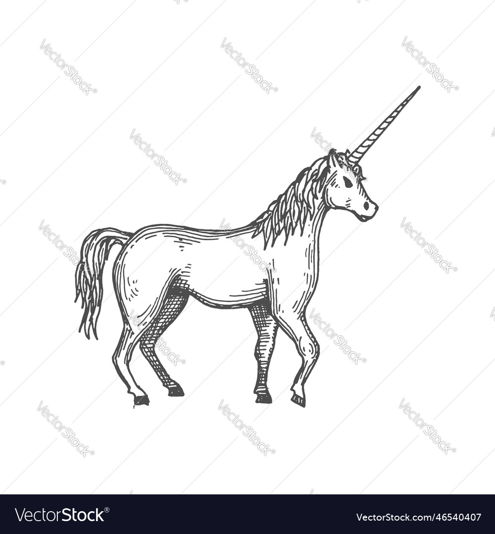 Unicorn fairy tale animal isolated sketch icon Vector Image