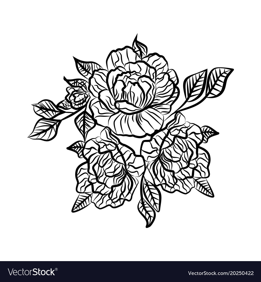 Vintage rose flower engraving calligraphic .Victorian style tattoo vector  illustration 27964536 Vector Art at Vecteezy