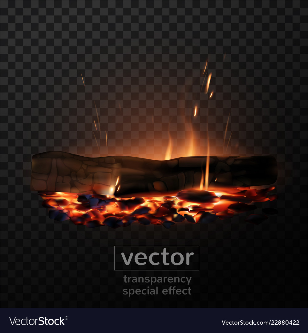 Burning Fire In The Fireplace Firewood Coals Vector Image