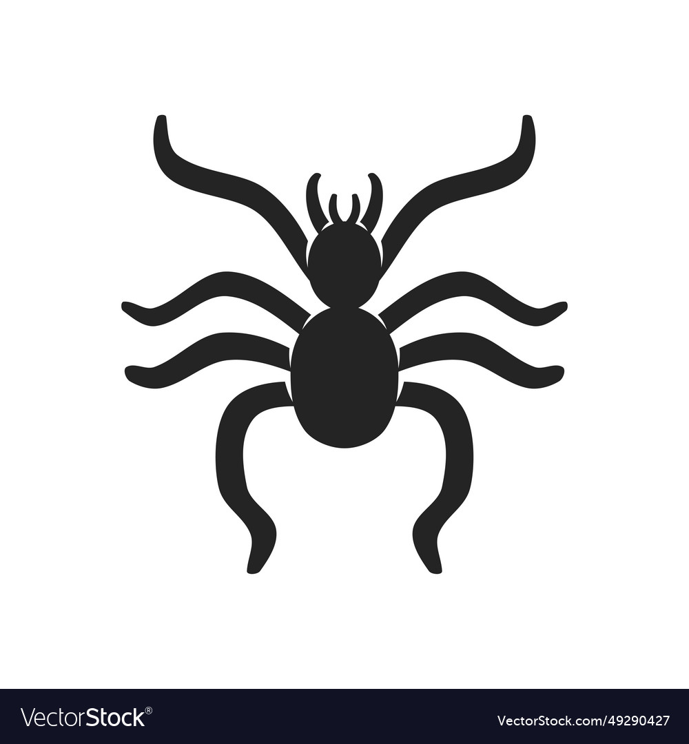 Spider logo template isolated brand identity icon Vector Image