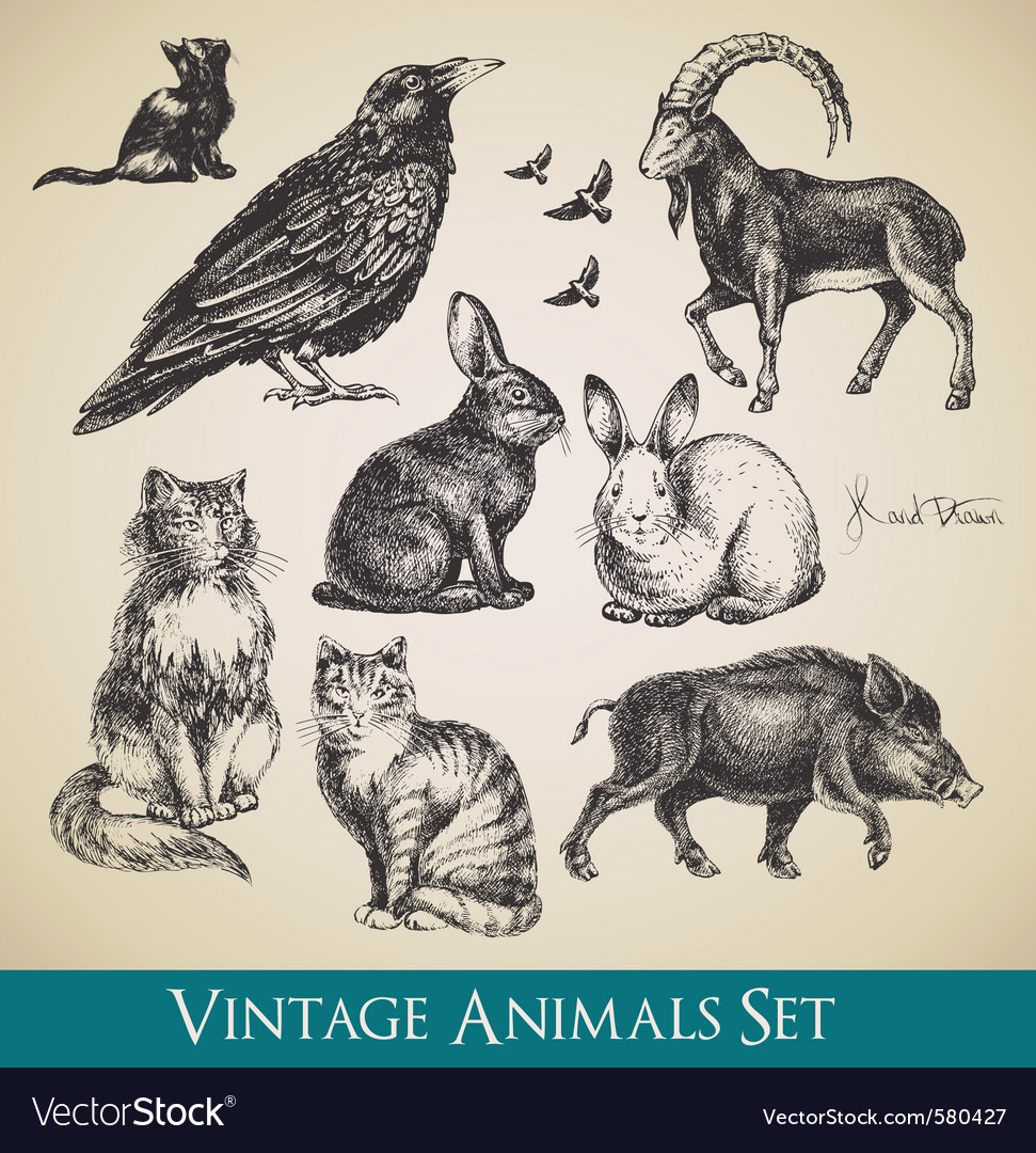 Vintage animals Royalty Free Vector Image - VectorStock