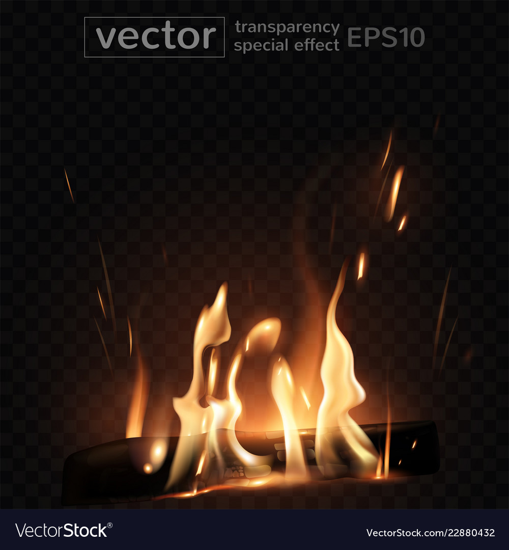 Burning Fire In The Fireplace Firewood Coals Vector Image
