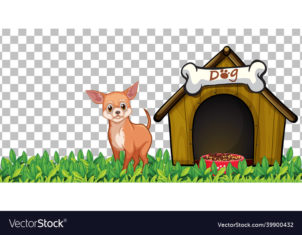 Chihuahua house 2024