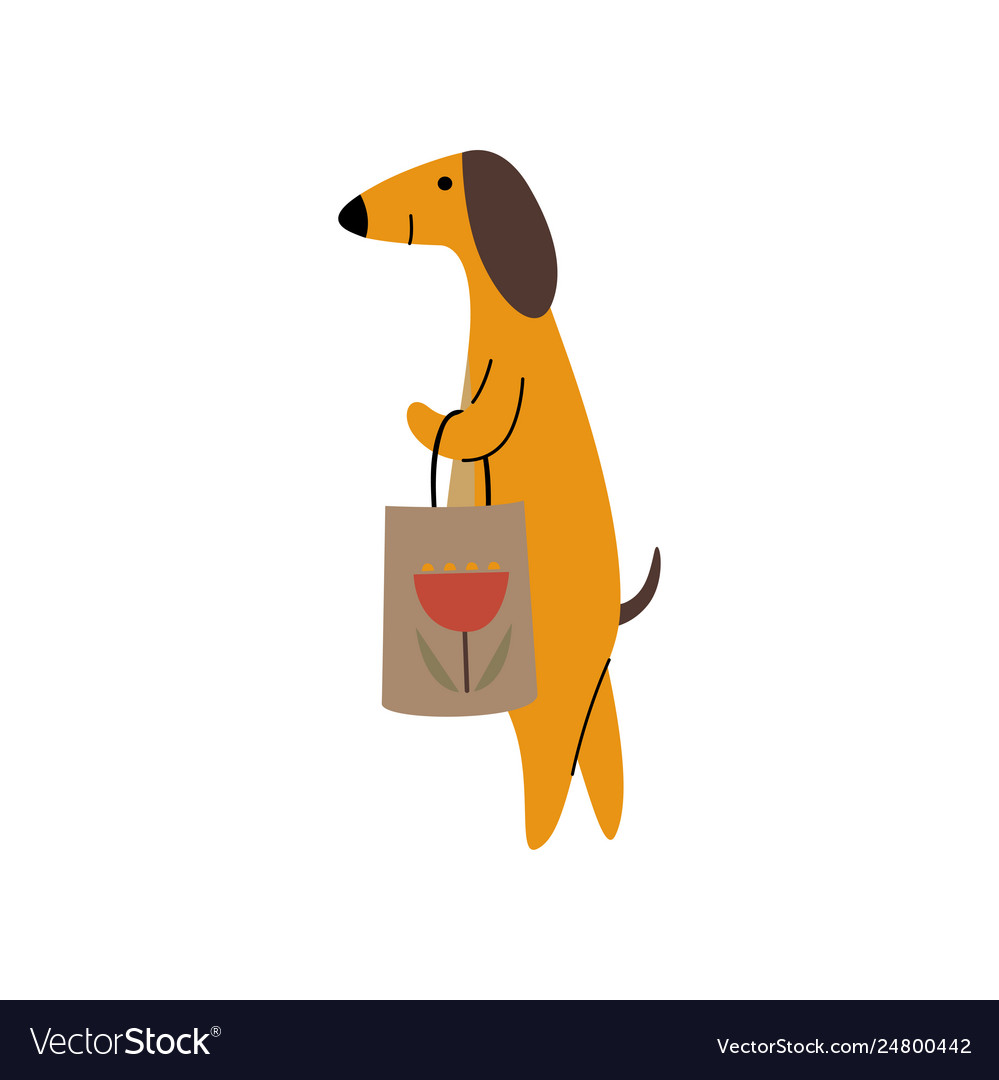 Dachshund shopping shop