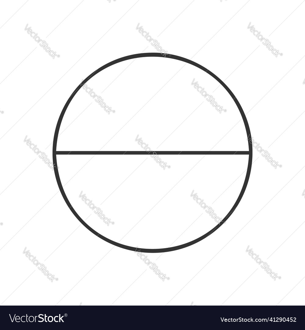 Circle divided in 2 segments isolated on white Vector Image