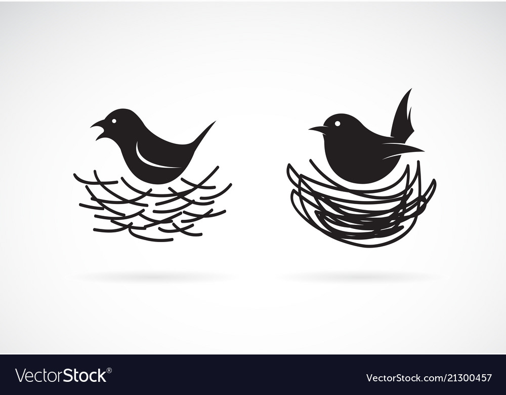 Bird and nests on white background wild animals vector image Bird and nests on white background wild animals