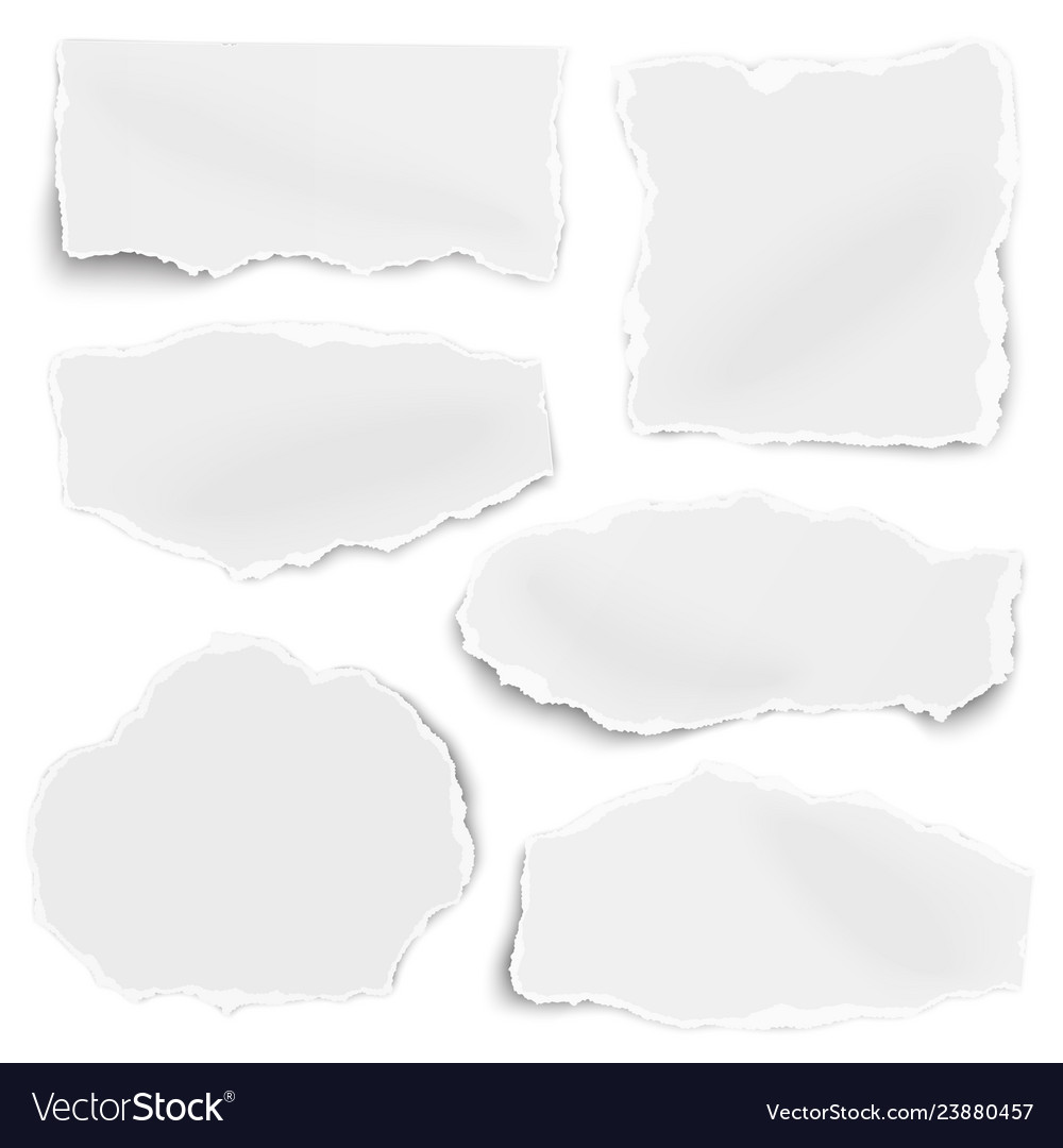 Set Paper Different Shapes Scraps Isolated Vector Image