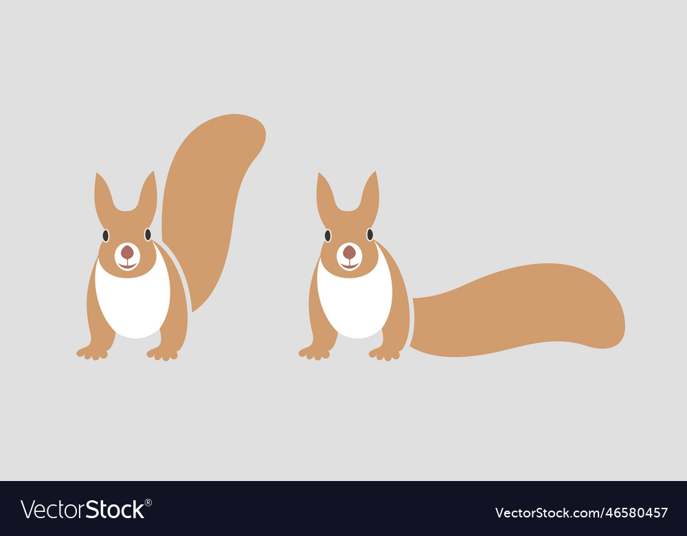 Squirrel Royalty Free Vector Image - VectorStock