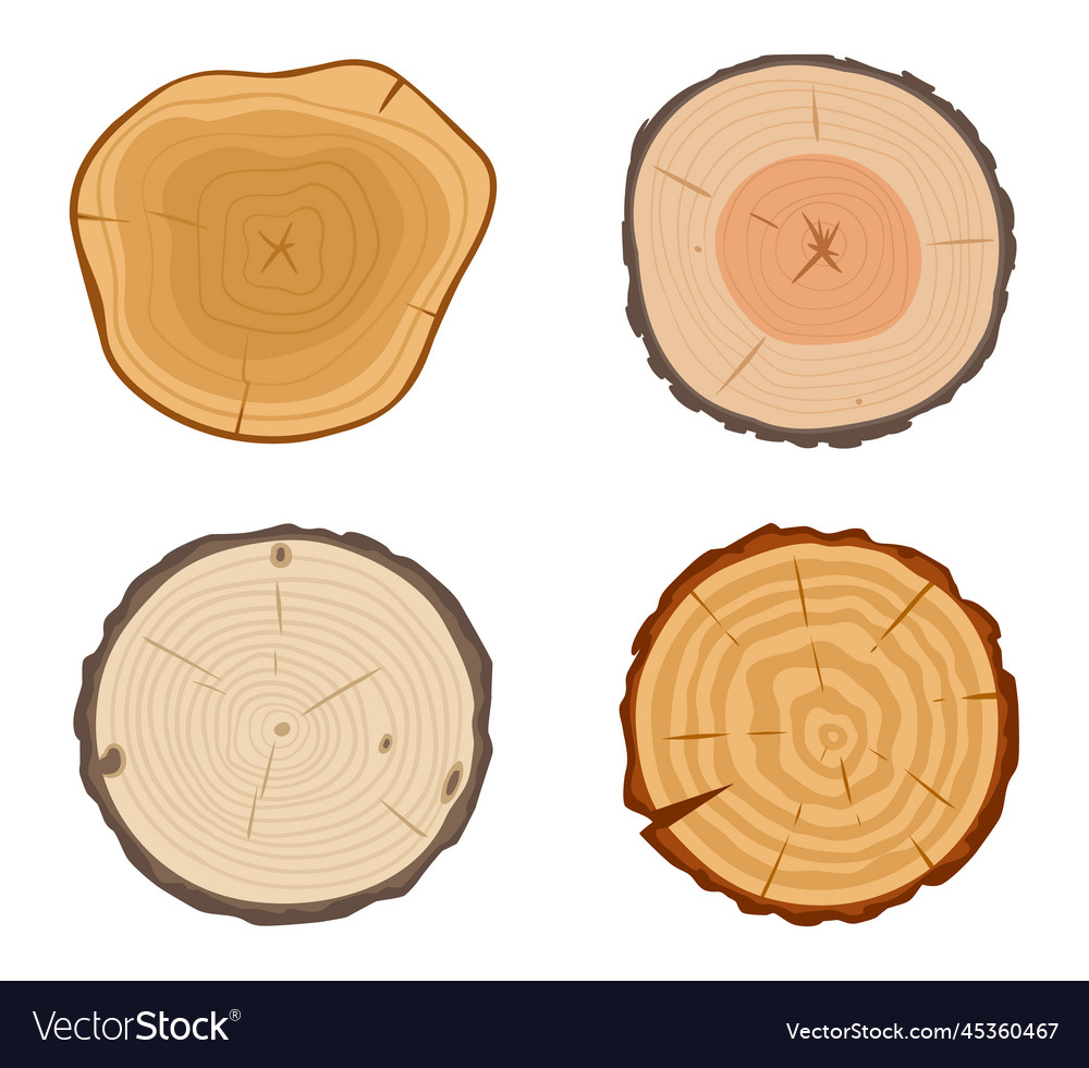 Darice DS-6258 12-INCH Canadian Pine Tree With Wood Base Includes 60