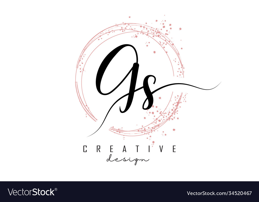 Handwritten gs g s letter logo with sparkling Vector Image