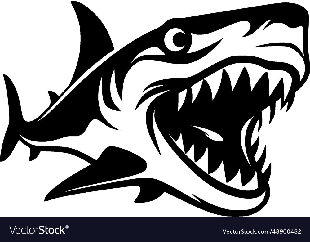 Shark - black and white