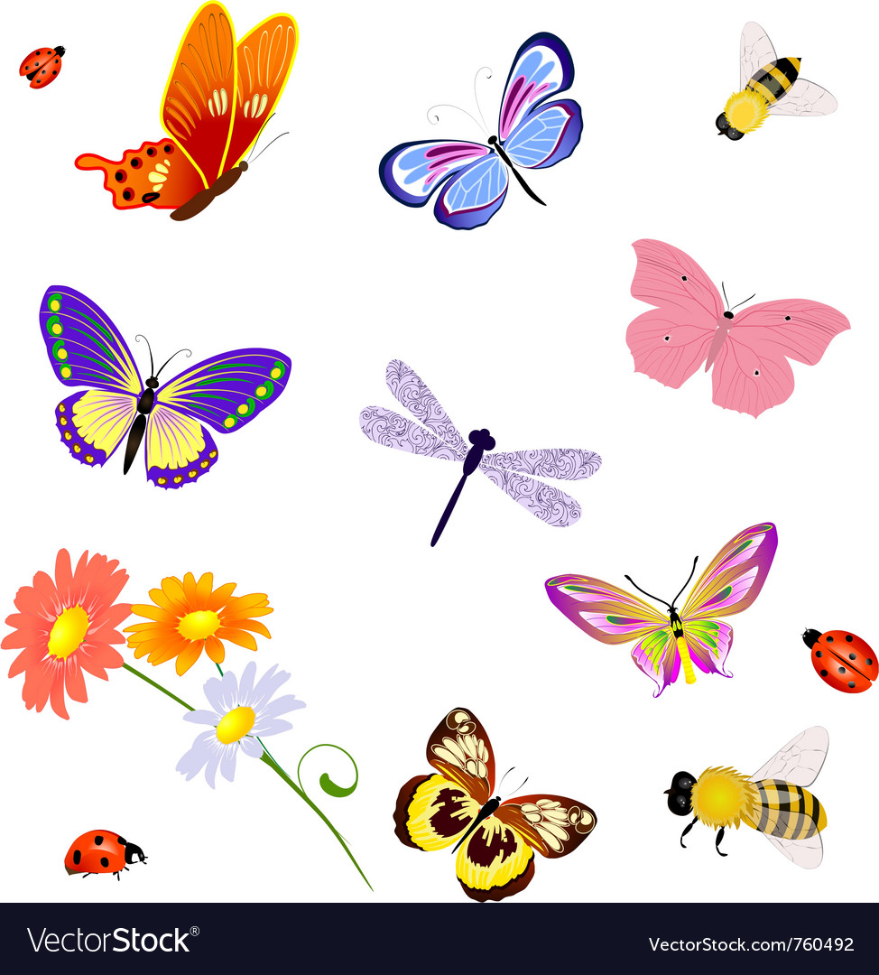 Butterfly Insects Bee Ladybug Royalty Free Vector Image | The Best Porn ...