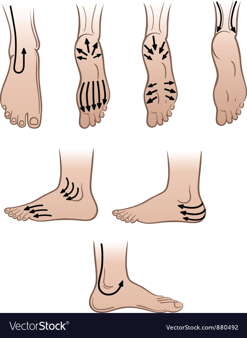 Mens feet with massaging lines Royalty Free Vector Image