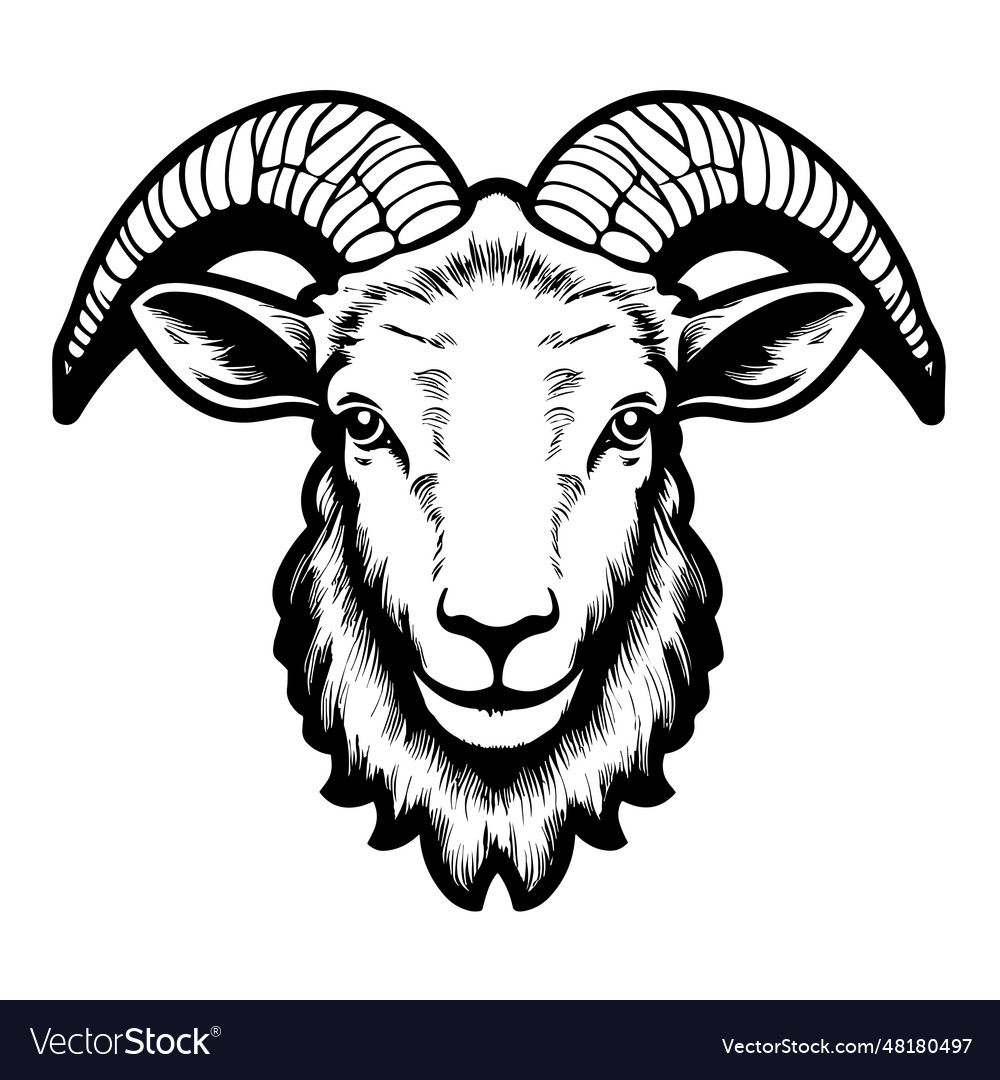 Beautiful lamb silhouette Royalty Free Vector Image