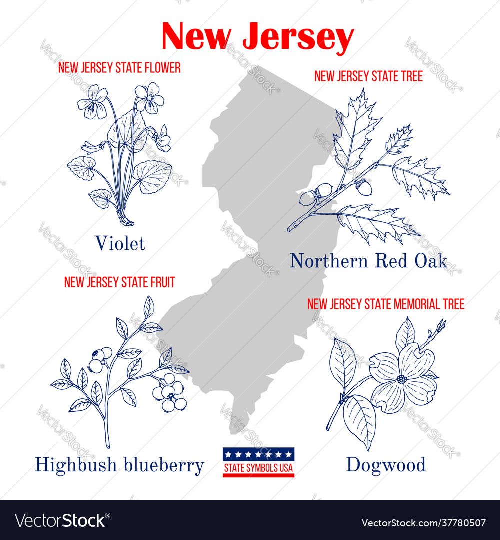 New jersey set usa official state symbols Vector Image