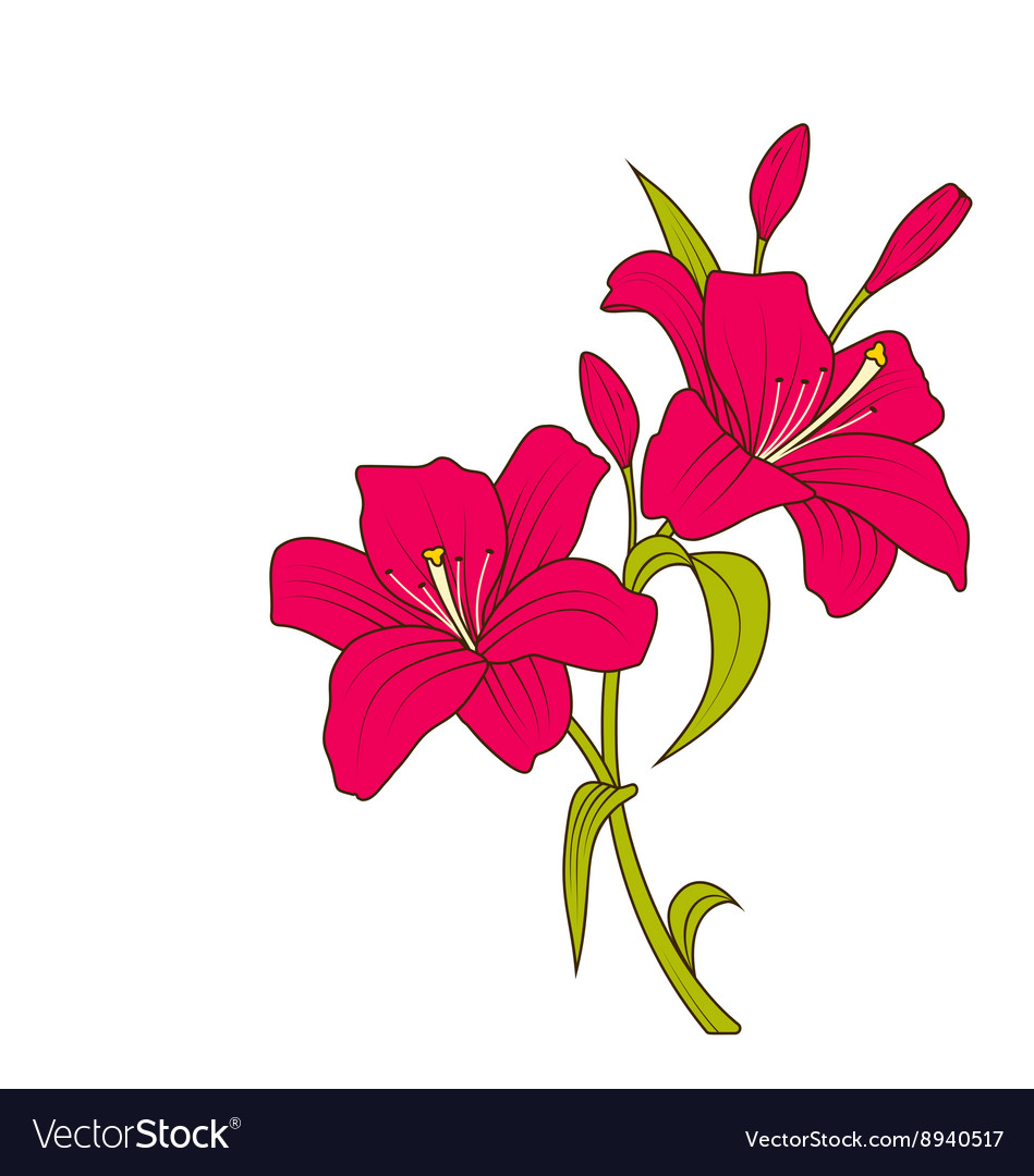 colored flower drawing images