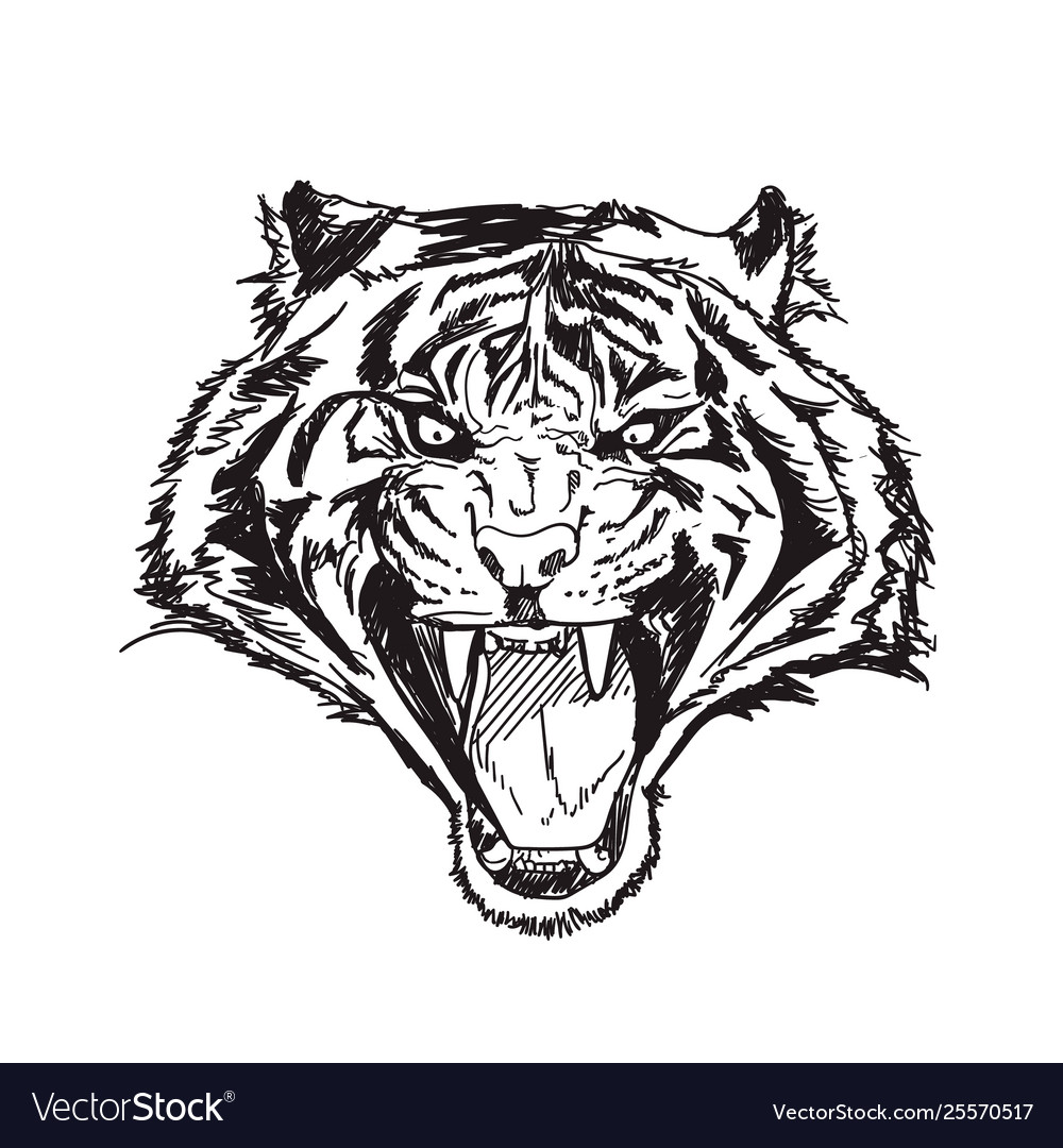 ArtStation - Tiger Line Art