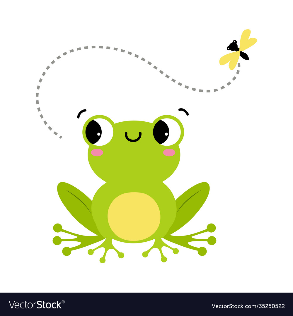 Green frog with protruding eyes watching fly Vector Image