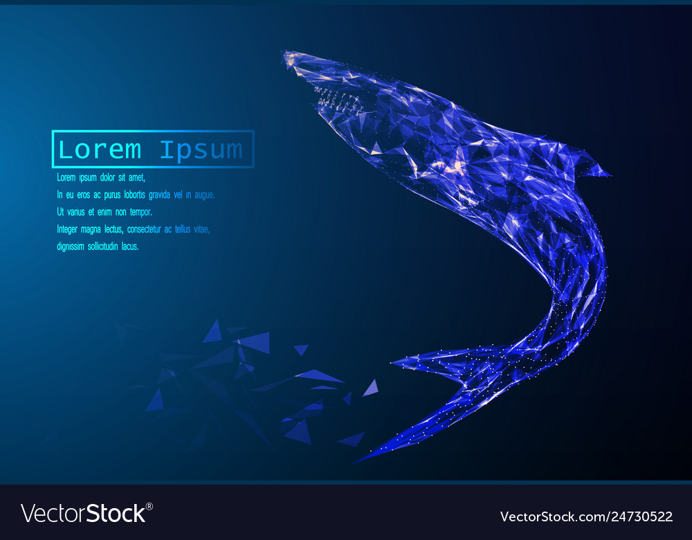 Polygonal the shark sails on sea waves Royalty Free Vector