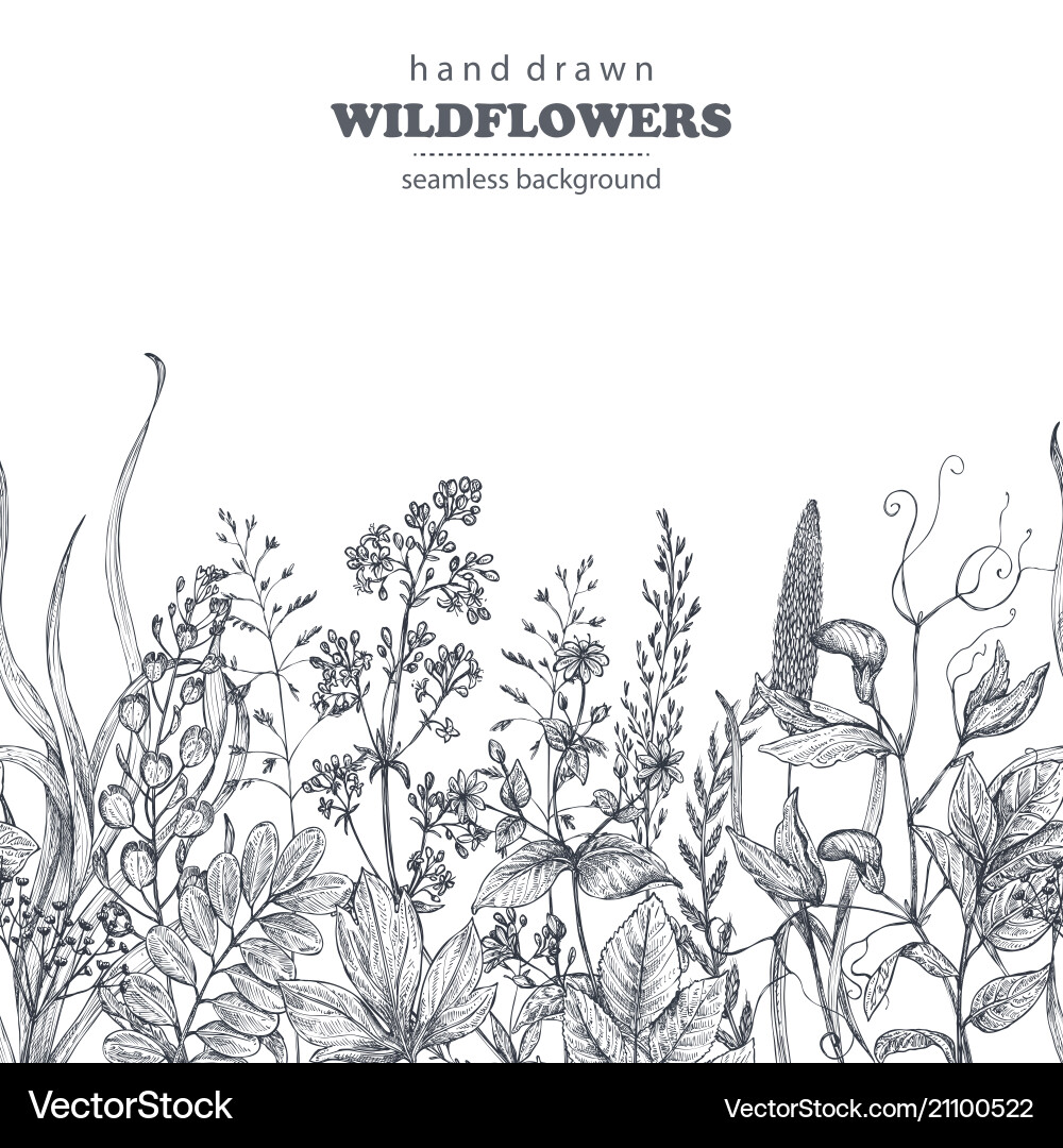 Seamless pattern with hand drawn herbs Royalty Free Vector