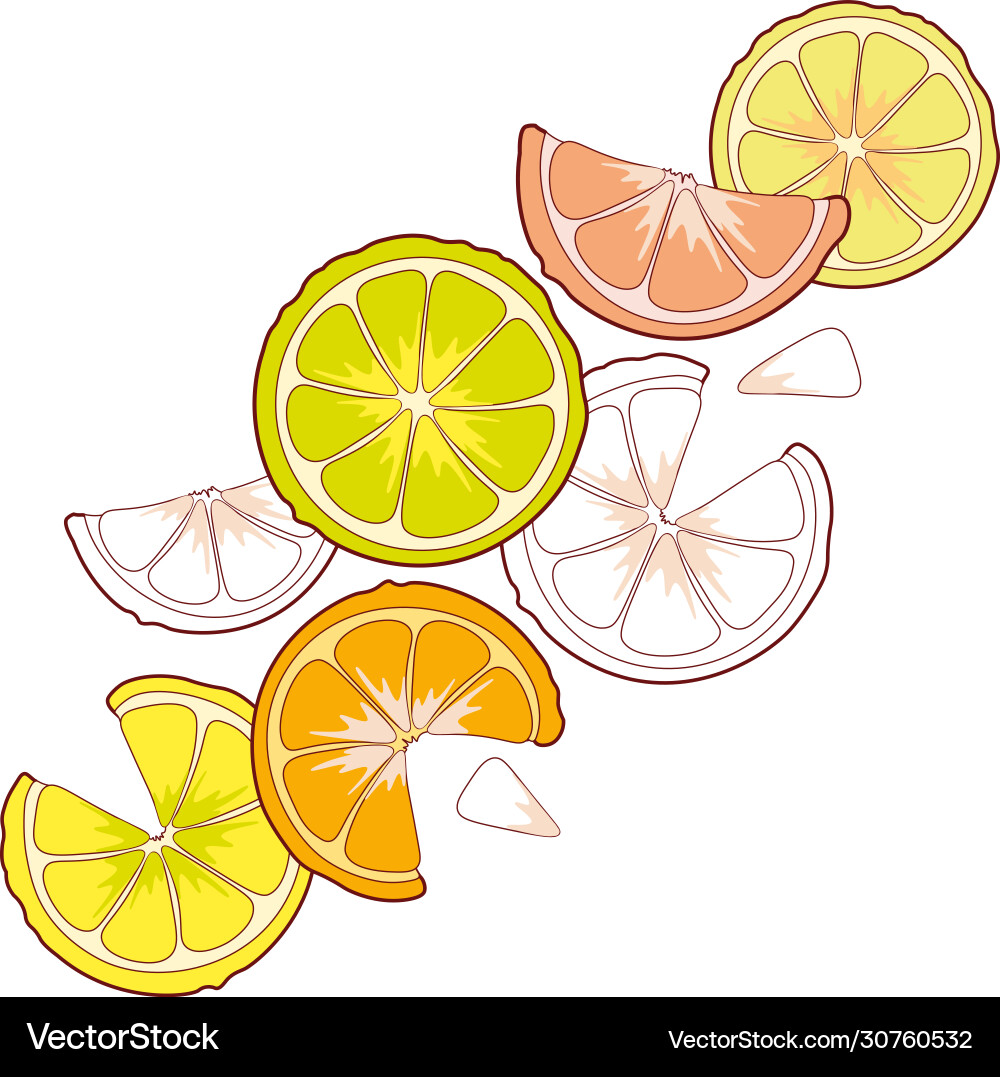 Bright grapefruit fruit Royalty Free Vector Image