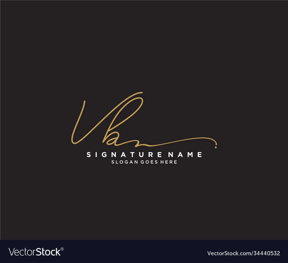 Letter vb signature logo template Royalty Free Vector Image