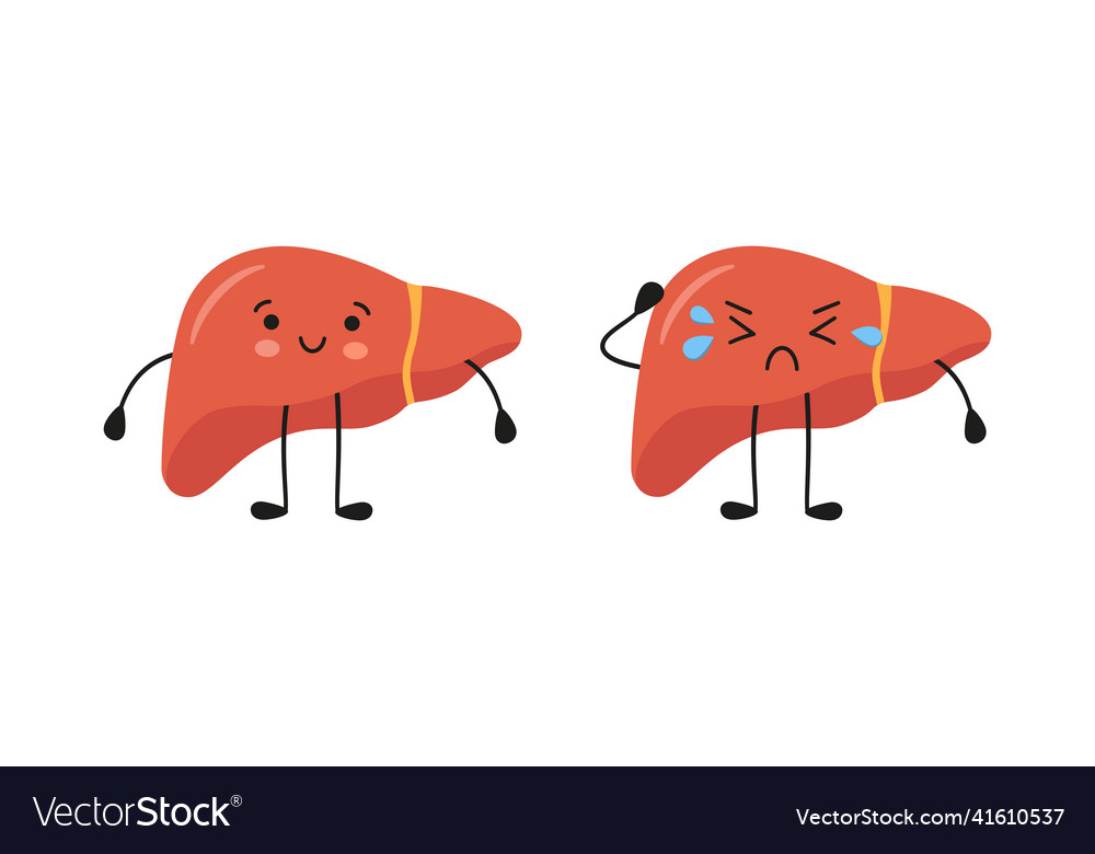 Healthy happy and sad sick liver characters Vector Image