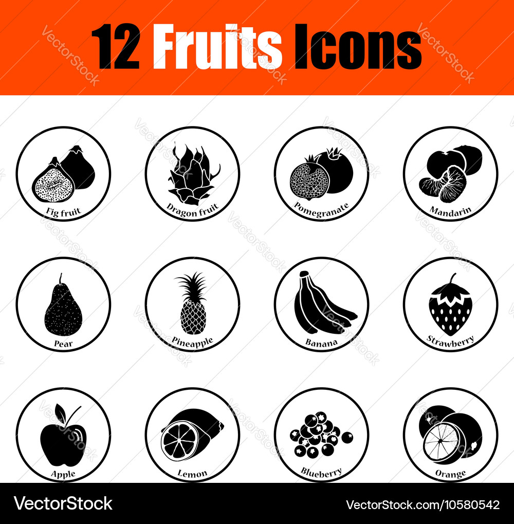 Fruit icon set Royalty Free Vector Image - VectorStock