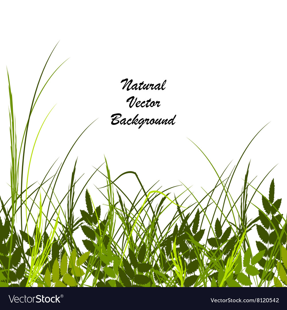 With a beautiful green grass Royalty Free Vector Image