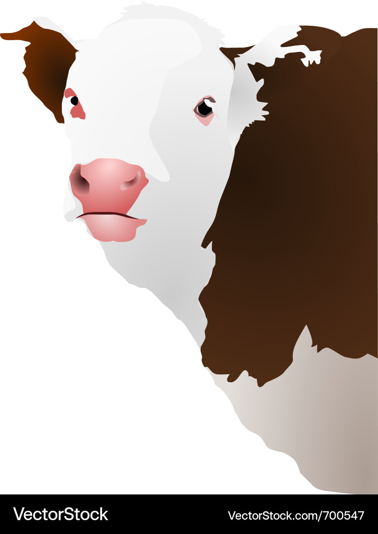 A cows head Royalty Free Vector Image - VectorStock