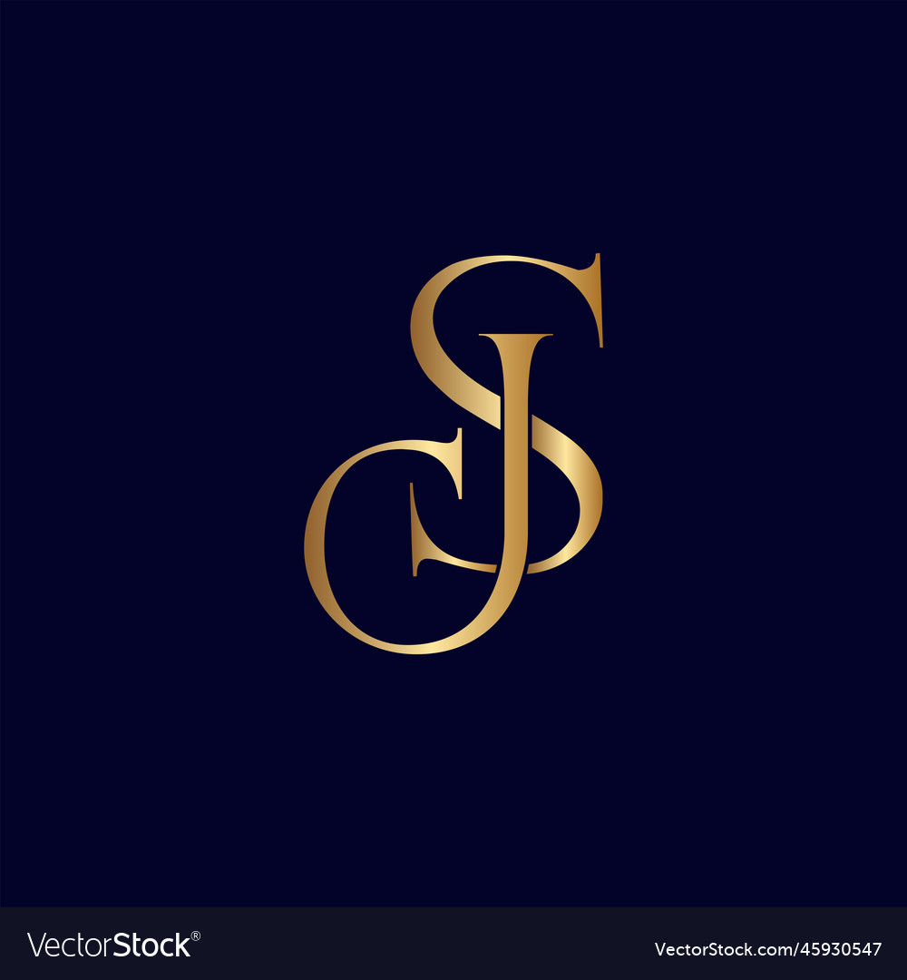 Elegant royal amazing gold women beauty logo js Vector Image