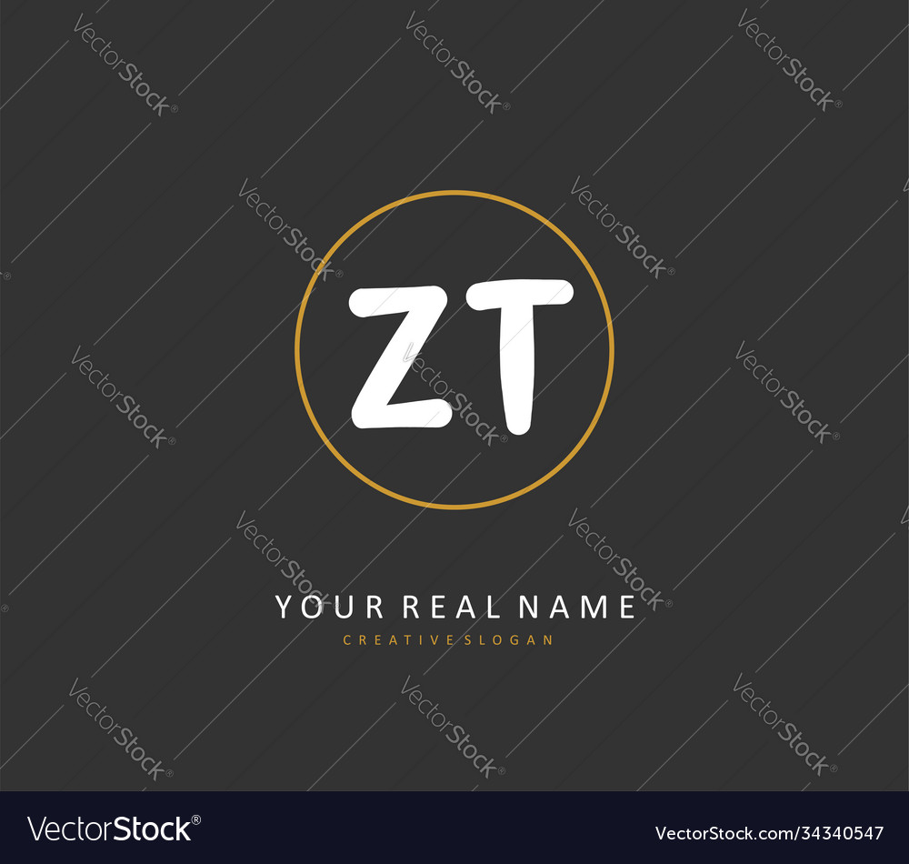 Z t zt initial letter handwriting and signature Vector Image