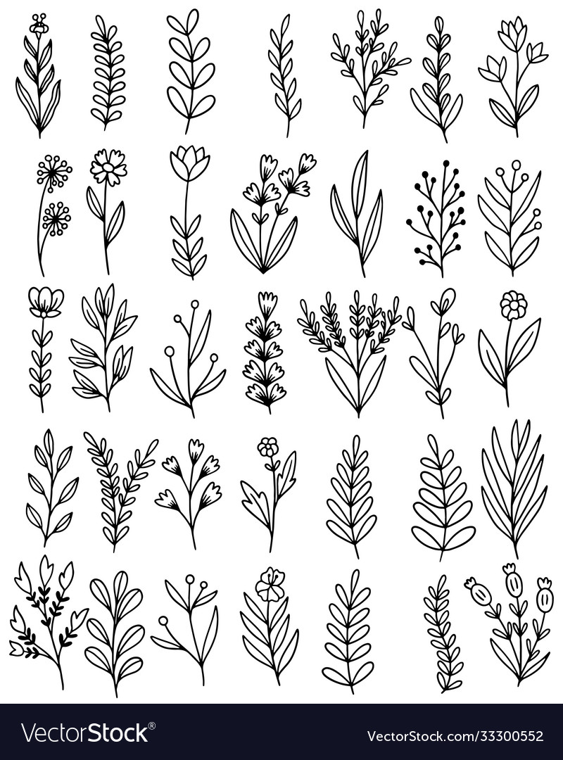 0118 hand drawn flowers doodle Royalty Free Vector Image